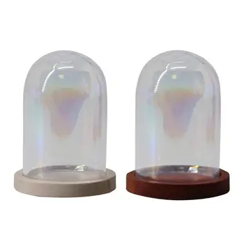 4gab Stikla Cloche Dome Skaidrs Ziedu Vāze Mini Dekoratīvās Glasss